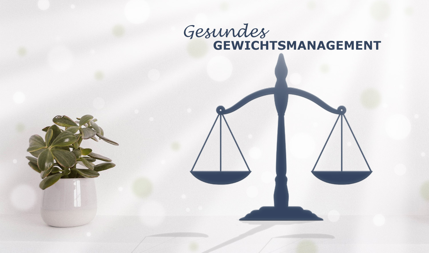 Gewichtsmanagement